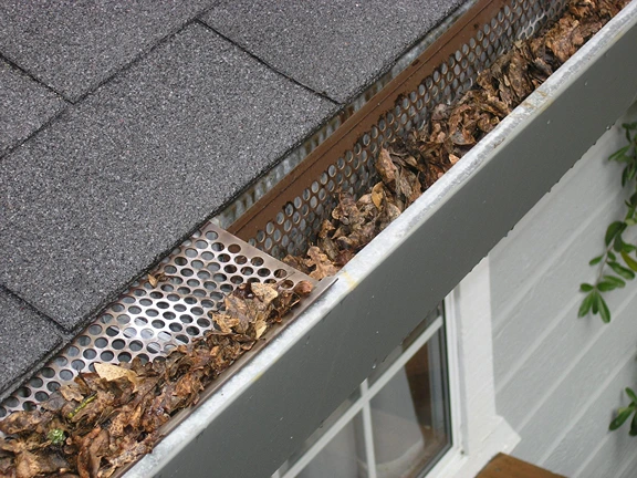 Clean Gutters After A Cyclone