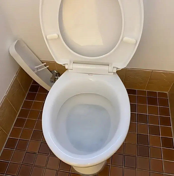 blocked toilets assure fix plumbing