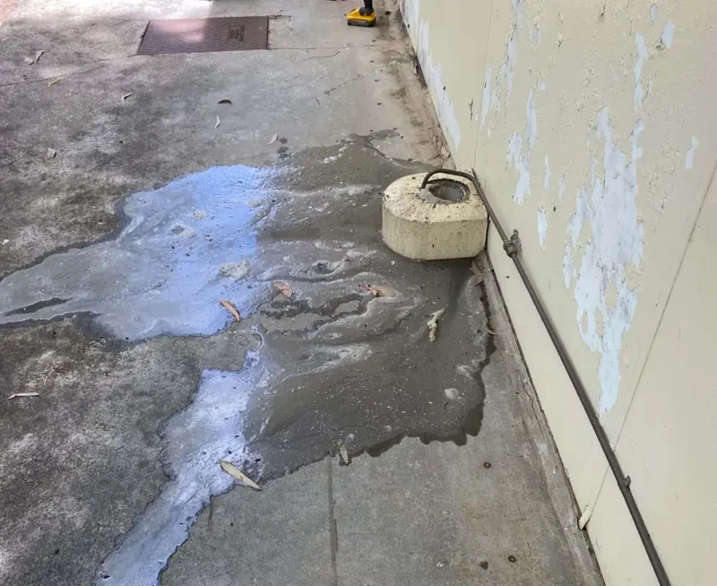 what happens if you ignore a blocked drain (2)