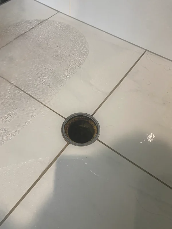 Bathroom floor drain showing signs of a blocked or slow-draining pipe.